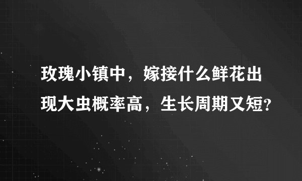玫瑰小镇中，嫁接什么鲜花出现大虫概率高，生长周期又短？