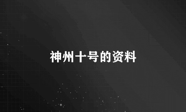 神州十号的资料