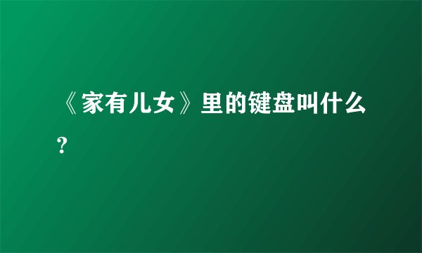 《家有儿女》里的键盘叫什么?