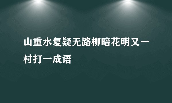 山重水复疑无路柳暗花明又一村打一成语