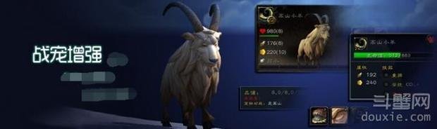 魔兽世界奥妮克希亚雏龙抓什么属性的最好 奥妮克希亚雏龙毕业属性详解