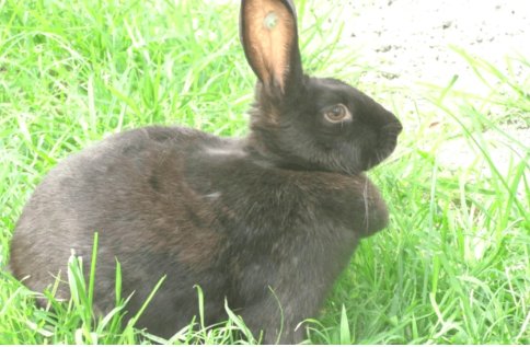 2023年是什么年？