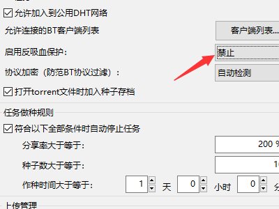 怎样设置能使BitComet(比特彗星)的下载BT文件速度达到最快?