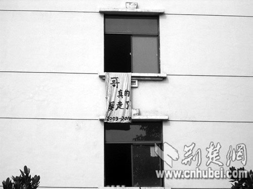 被子哥的介绍