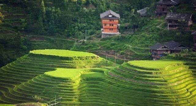 丘有什么组词语