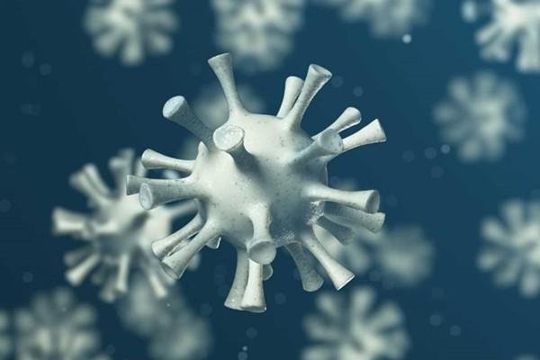 四川现国内未有过的奥密克戎变异株，其传播力有多强？