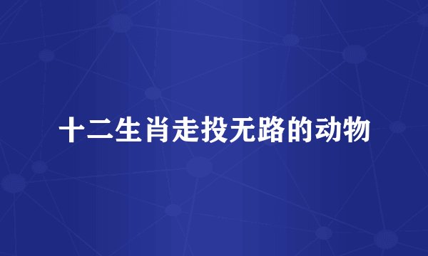 十二生肖走投无路的动物