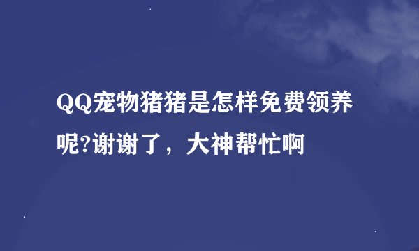 QQ宠物猪猪是怎样免费领养呢?谢谢了，大神帮忙啊