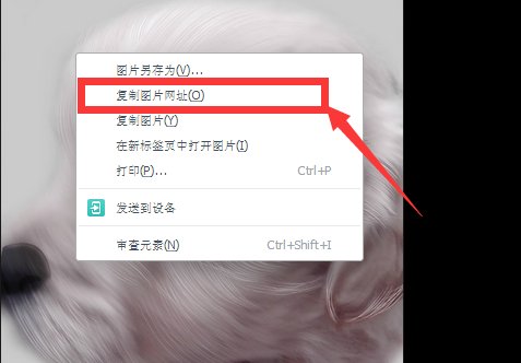 qq空间图片素材连接怎么制作