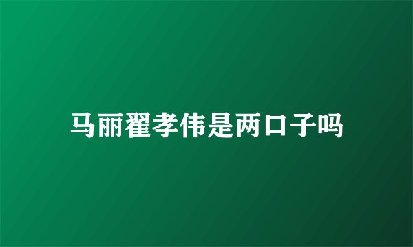 马丽翟孝伟是两口子吗