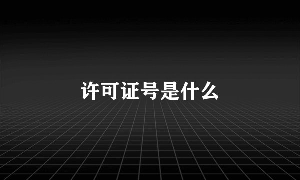 许可证号是什么