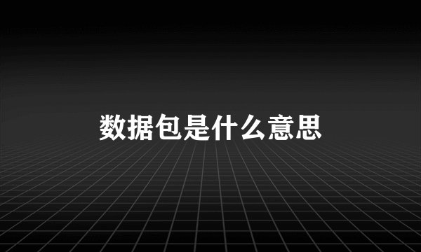 数据包是什么意思