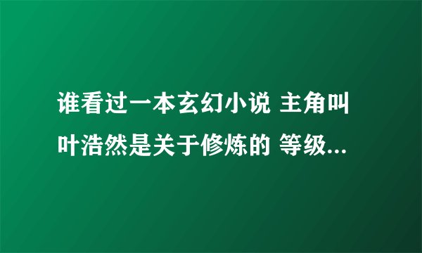 谁看过一本玄幻小说 主角叫叶浩然是关于修炼的 等级分为 地灵 羽灵 风灵 飞灵 空灵 请问书名叫什么