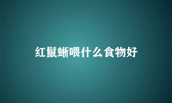 红鬣蜥喂什么食物好