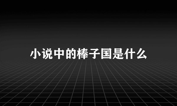 小说中的棒子国是什么