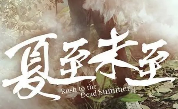 白敬亭演的电视剧