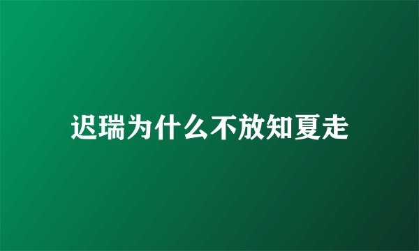 迟瑞为什么不放知夏走