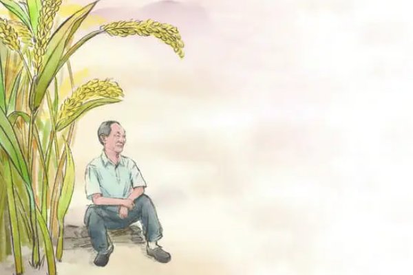 袁隆平禾下成凉梦原话