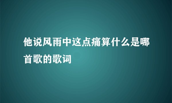 他说风雨中这点痛算什么是哪首歌的歌词