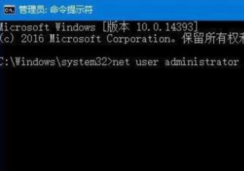administrator是什么意思?