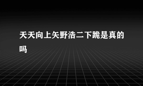 天天向上矢野浩二下跪是真的吗