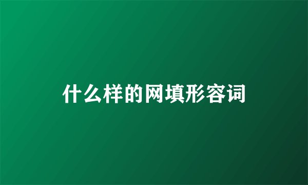 什么样的网填形容词