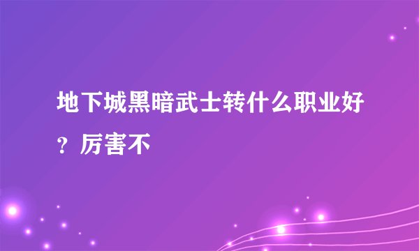 地下城黑暗武士转什么职业好？厉害不