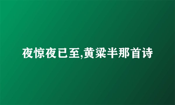 夜惊夜已至,黄粱半那首诗