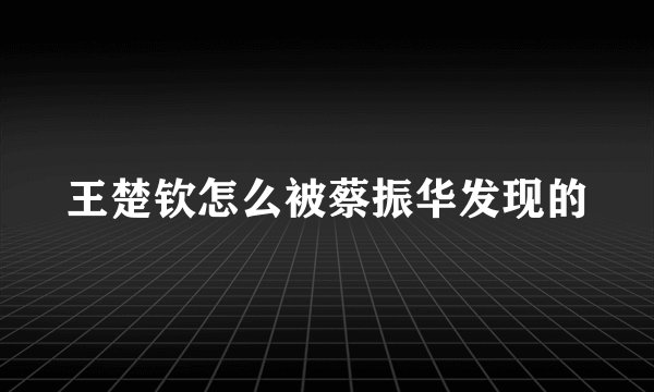 王楚钦怎么被蔡振华发现的