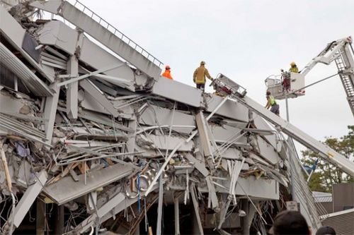 甘孜、雅安发生地震！四川的大熊猫还好吗？