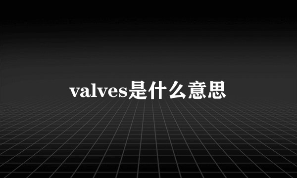 valves是什么意思