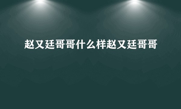 赵又廷哥哥什么样赵又廷哥哥
