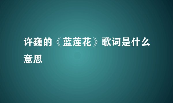 许巍的《蓝莲花》歌词是什么意思