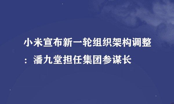 小米宣布新一轮组织架构调整：潘九堂担任集团参谋长
