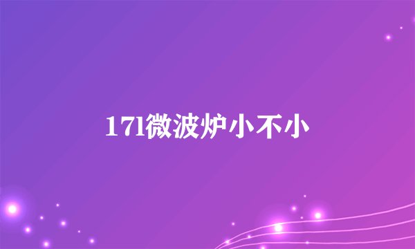 17l微波炉小不小