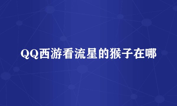 QQ西游看流星的猴子在哪