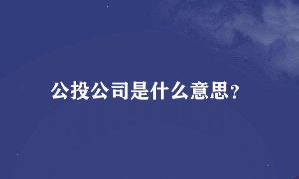 公投公司是什么意思？