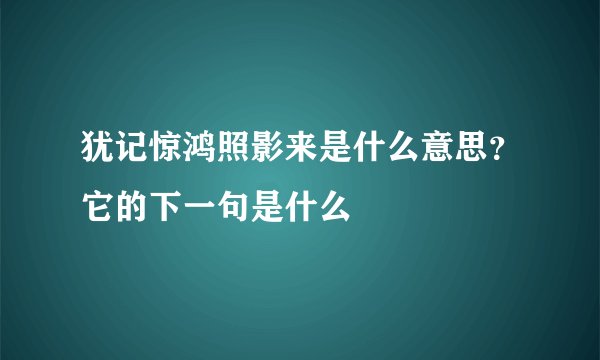 犹记惊鸿照影来是什么意思？它的下一句是什么