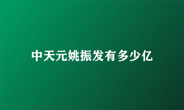 中天元姚振发有多少亿