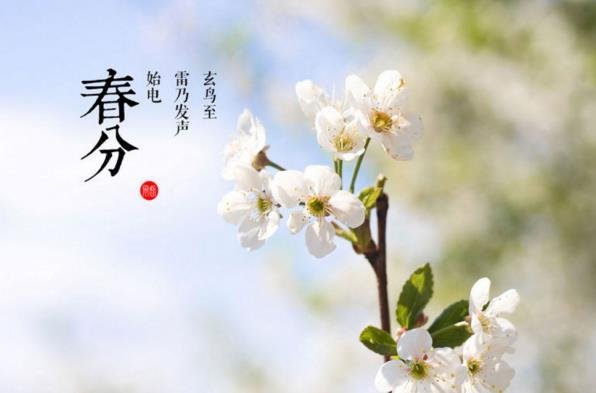 请问3月21日是什么节日啊?