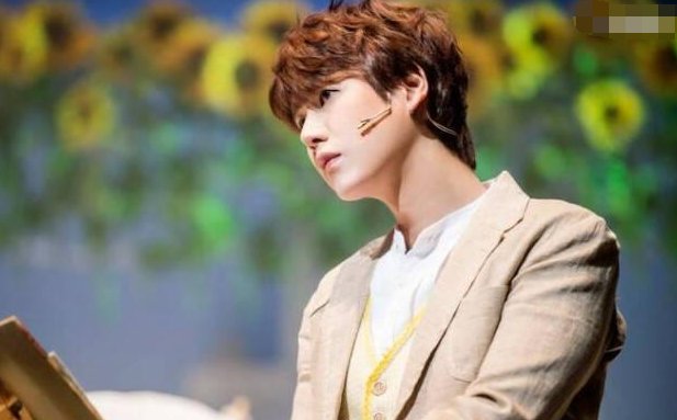 忙内是什么意思呀?