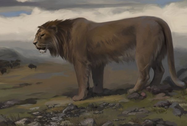 西伯利亚发现了4万年前幼狮化石，这化石有什么特别之处？