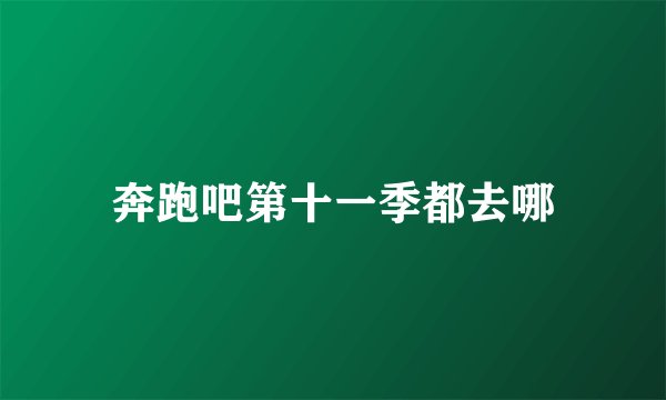 奔跑吧第十一季都去哪