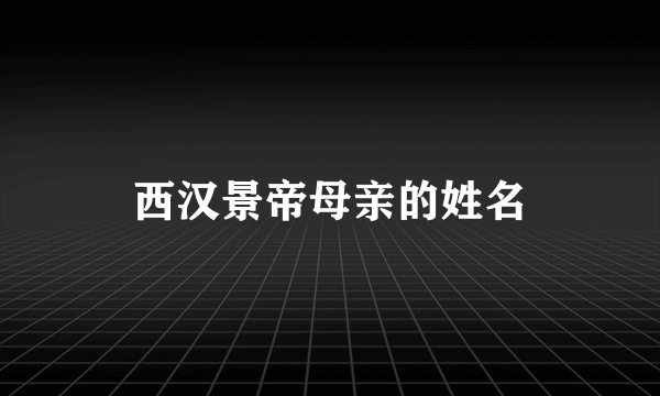 西汉景帝母亲的姓名