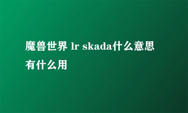魔兽世界 lr skada什么意思 有什么用