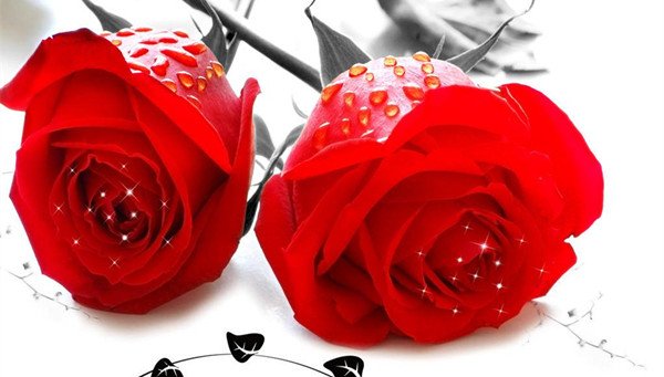 七朵玫瑰花语，七朵玫瑰有什么意义