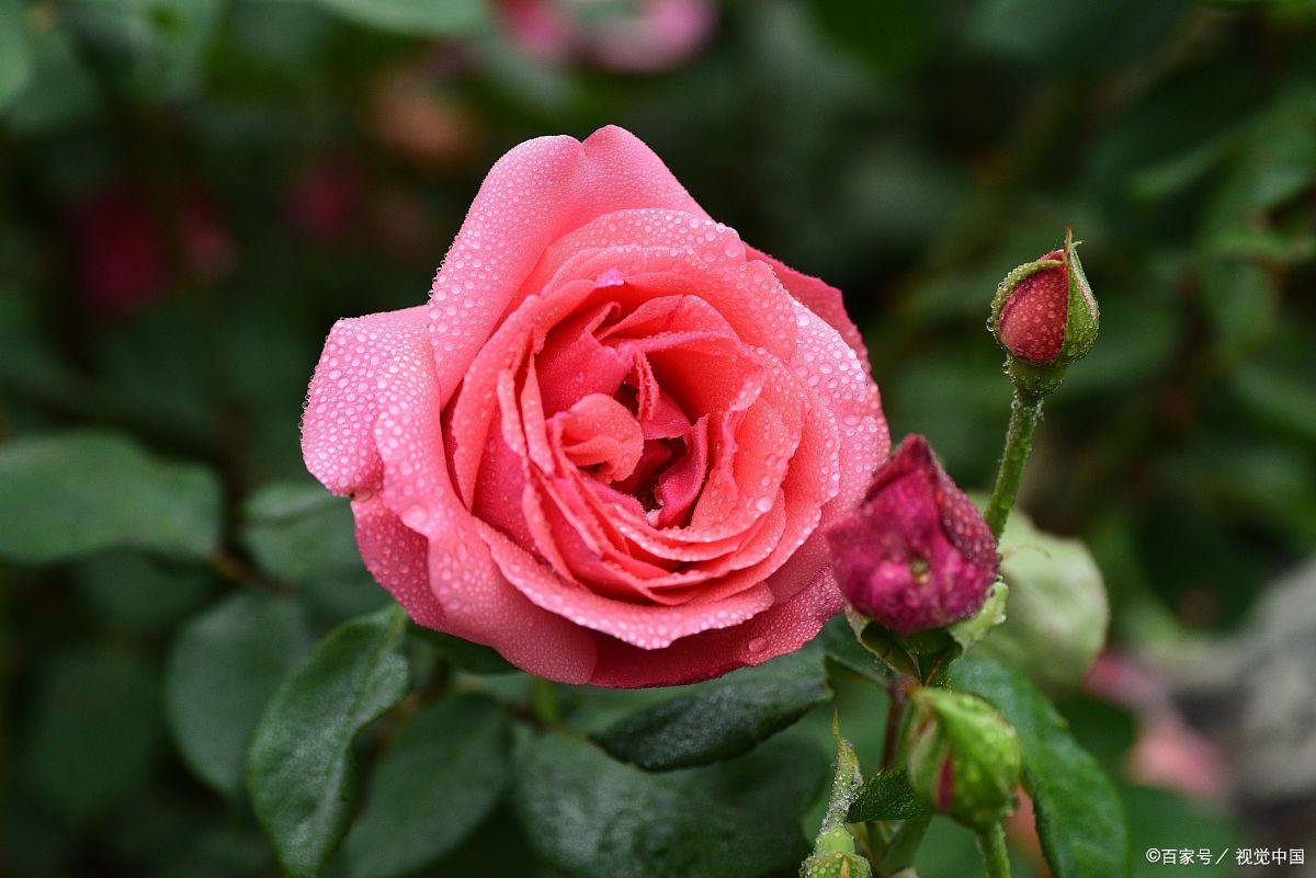 为什么我会不知道自己在做什么？