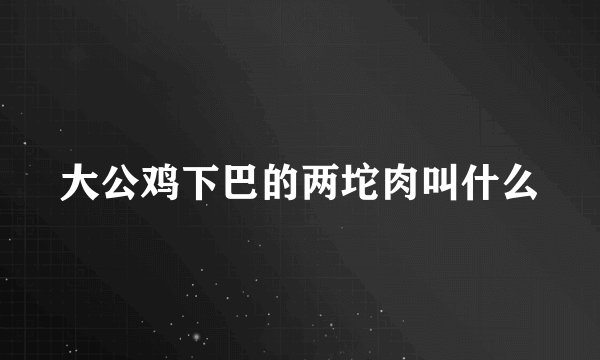 大公鸡下巴的两坨肉叫什么