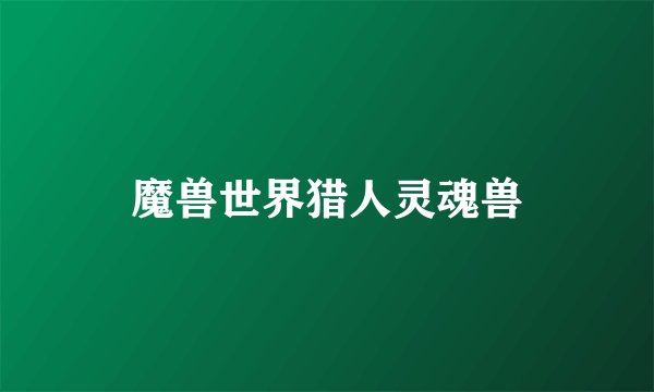 魔兽世界猎人灵魂兽
