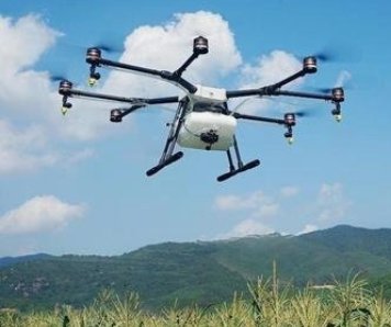 湖北宜昌无人机拍到怀孕江豚,高科技监控会影响动物的正常生活吗?